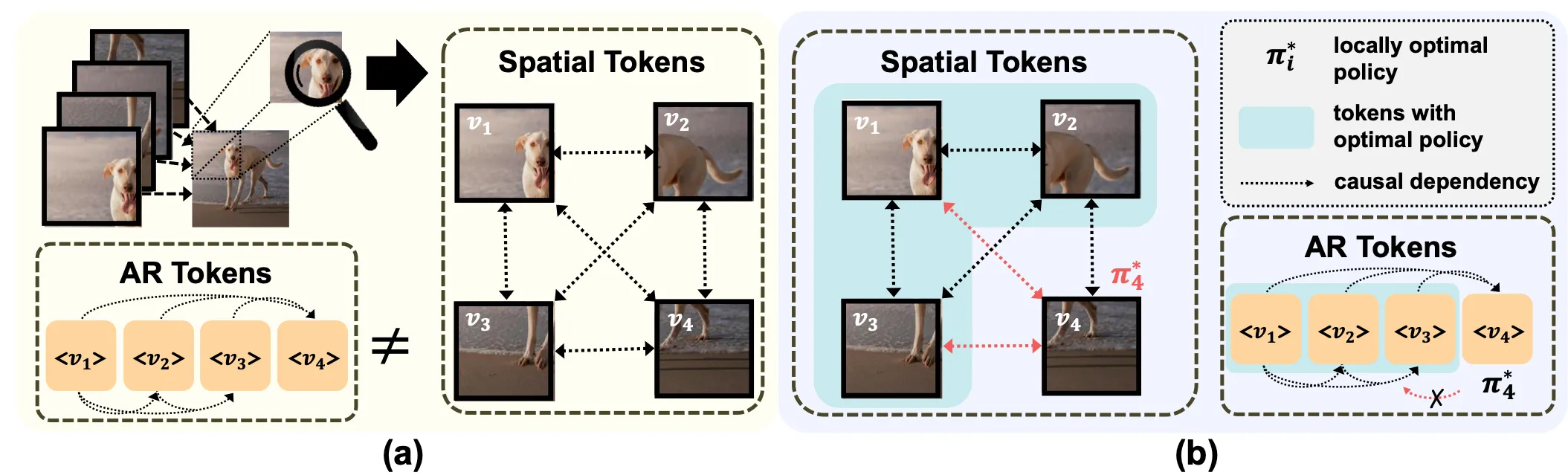 Illustration of spurious dependencies in spatial tokens and anti-causal links